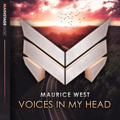 Voices In My Head