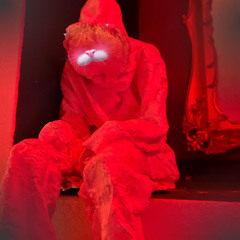 flight for ffs₊˚⊹♡