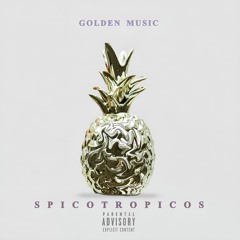 SPICOTROPICOS BY RAYSAG DJ