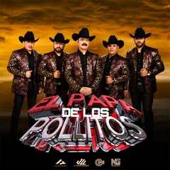 LOS TUCANES DE TIJUANA -EL PAPA DE LOS POLLITOS- IN&OUT BREAK 110 BPM