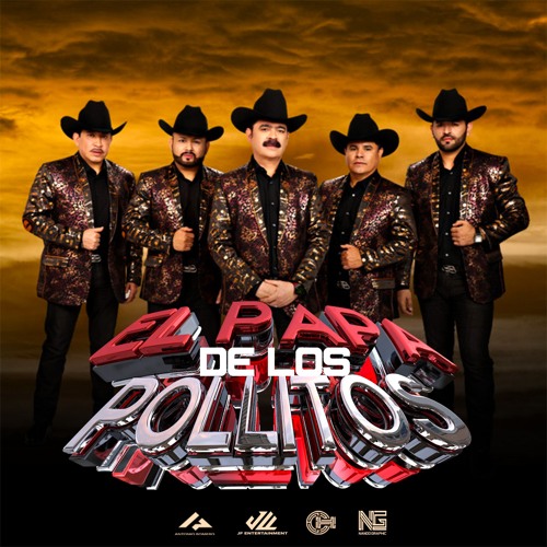 LOS TUCANES DE TIJUANA -EL PAPA DE LOS POLLITOS- IN&OUT BREAK 110 BPM