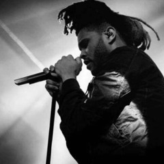 The Weeknd & Durdnn - The Birds Pt.1 (Durdnn Remix)