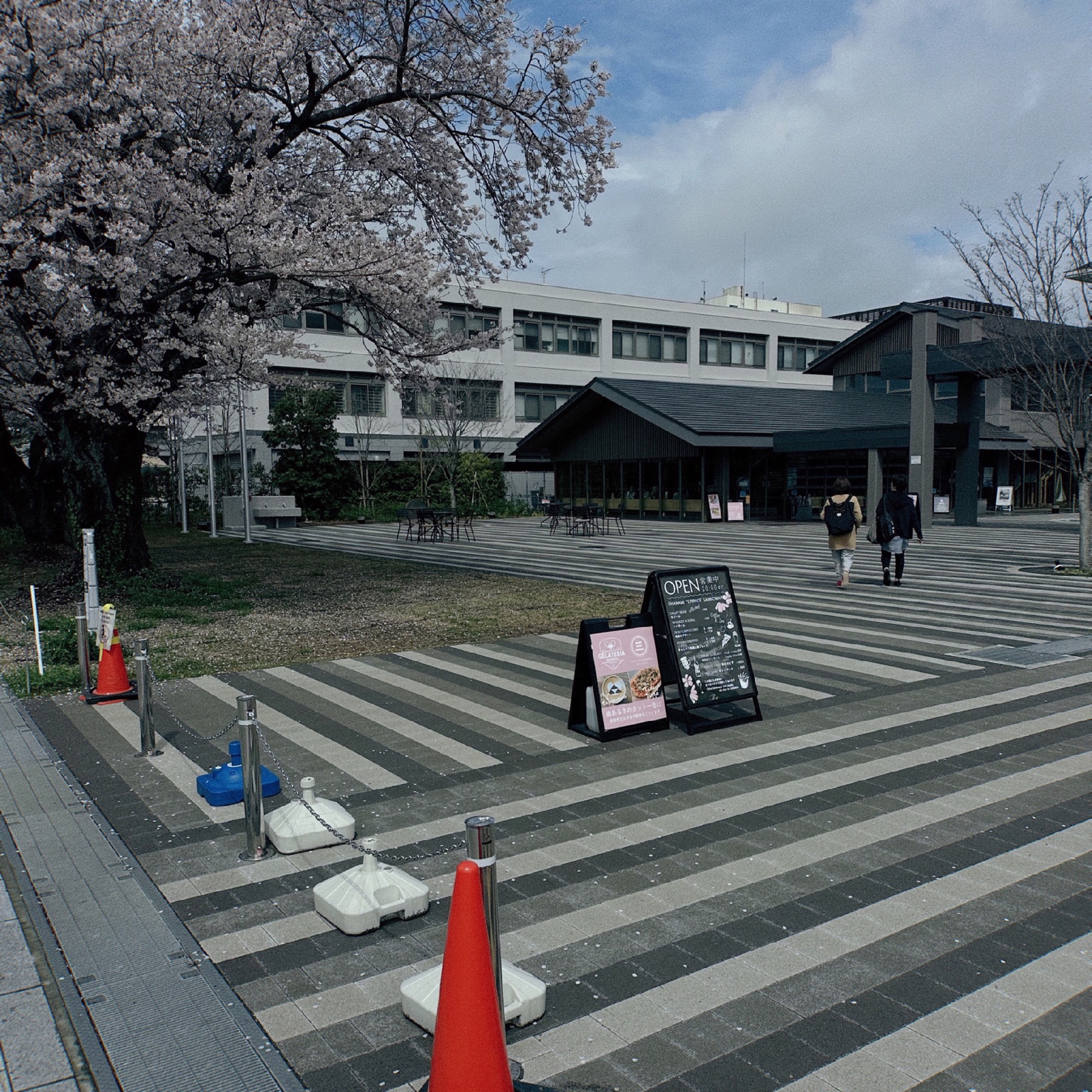 2023.3.28 桜見たくてトウキョウTokyo. 東海道新幹線にて