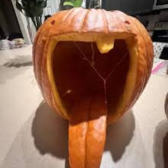 jungle (is massive) takes us