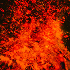 Glowing Graveyard Assimilates The Living (Halloween Party)