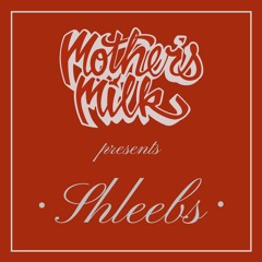 MMT 017 - Shleebs