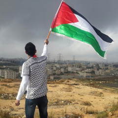 hello palestine