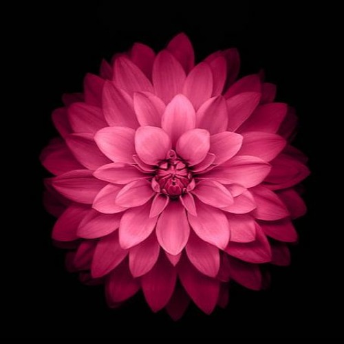 Ecstatic Dance Cairns's 2nd Birthday Dance February 2023