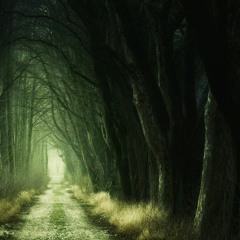 Fantasy theme II (Working)