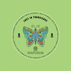 PREMIERE: B1. Donald Pump, Shane.MOV - Lullaby For Georges - Lost In Transience LP