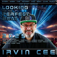 PERFECT BEAT - The non-stop versions (2025-2014)