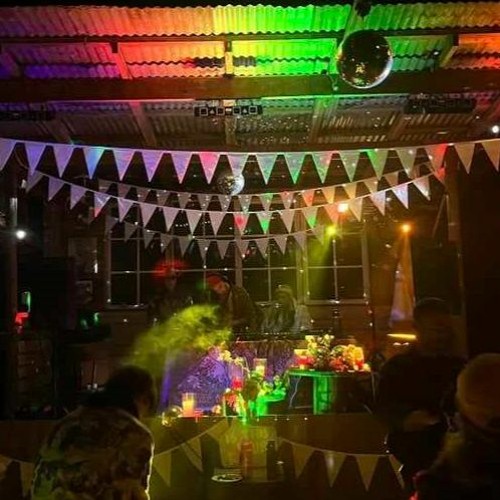 Denis The Menace @ Psychedelic Bush Disco 2024