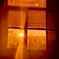 love is the only way DICABOR