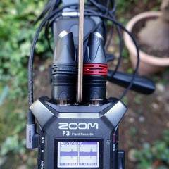 Zoom F3 + AOM 5024 Angled mounted Digital Metronome test