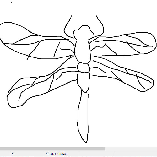 Dragonfly