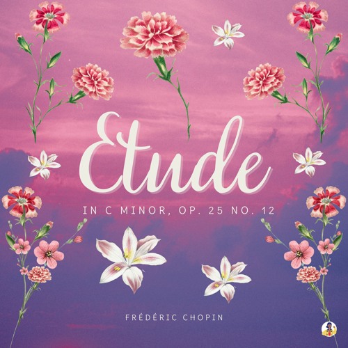 frederic chopin etude op 25 no 12 in c minor