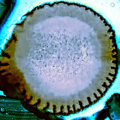 Rumblin_Cynth_Rampo - Pertubation [Boson Spin warp]