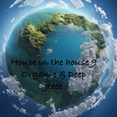 ORGANIC & DEEP House in the house 9
