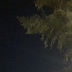 не поэт