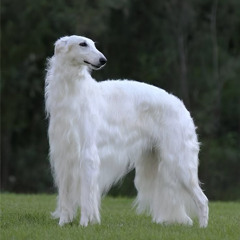 *ੈ✩‧₊˚༺☆༻*ੈ✩‧₊˚