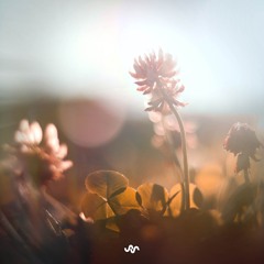 Ambient Sleep - Music for Dreaming and Improving Sleep