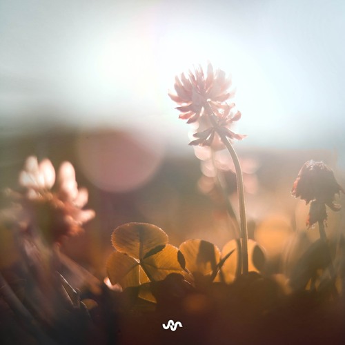 Ambient Sleep - Music for Dreaming and Improving Sleep