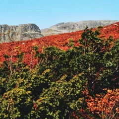 HK_Free_Sets/Mixes/Live_59