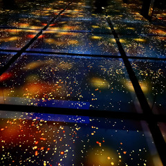 BRIGHT NIGHTS