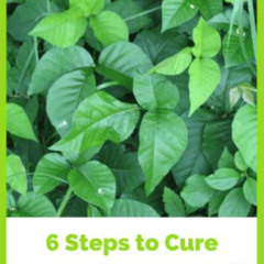 Best Poison Ivy By Eyes Treatment Reviews