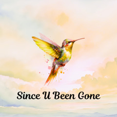 Kelly Clarkson - Since U Been Gone (Deerock Remix)