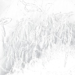 NEO SOUL JAZZ BOSSA DUB MICRO ONDE