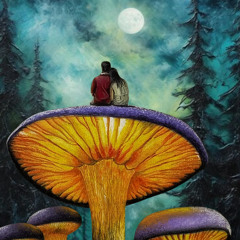⫷Mushroom Valley 2025⫸⚬⫷Possibiliteas⫸
