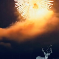 King Of Carrot Flowers - (NMH cover)