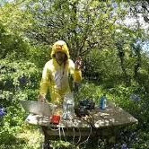 Onkel Dunkel live Parvati anniversary streamings