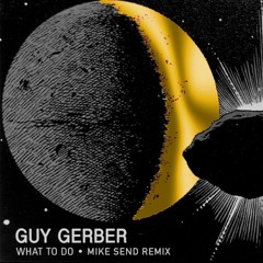 Guy Gerber - What To Do (Mike Send Remix)