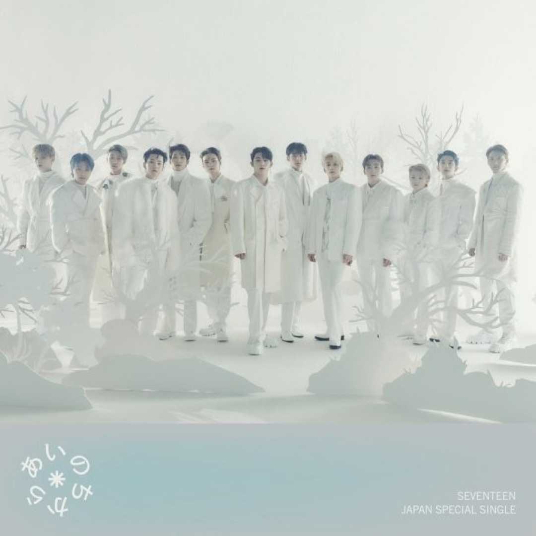 K-POP・アジア SEVENTEEN LOVE Blu-ray SEVENTEEN 2023 JAPAN FANMEETING 'LOVE' Blu-ray DIGITAL CODE