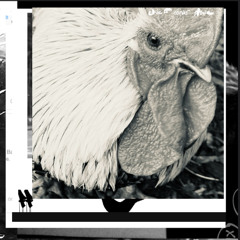 Psaume 93 (Mountain View)