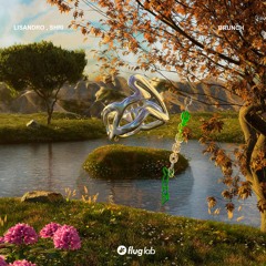LTR Premiere: Lisandro (AR), SHRI (IND) - Brunch (Original Mix) [Flug Lab]