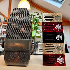 Extinct Audio BoRbon - Blues Acoustic Levin