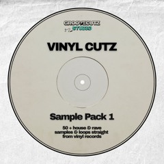 Vinyl Cutz | Sample Pack 1 (Preview)