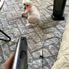 MP5 (prod twodemon & rio leyva & noah mejia)
