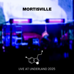 Future Vintage - Live at Positeka, Underland 2025