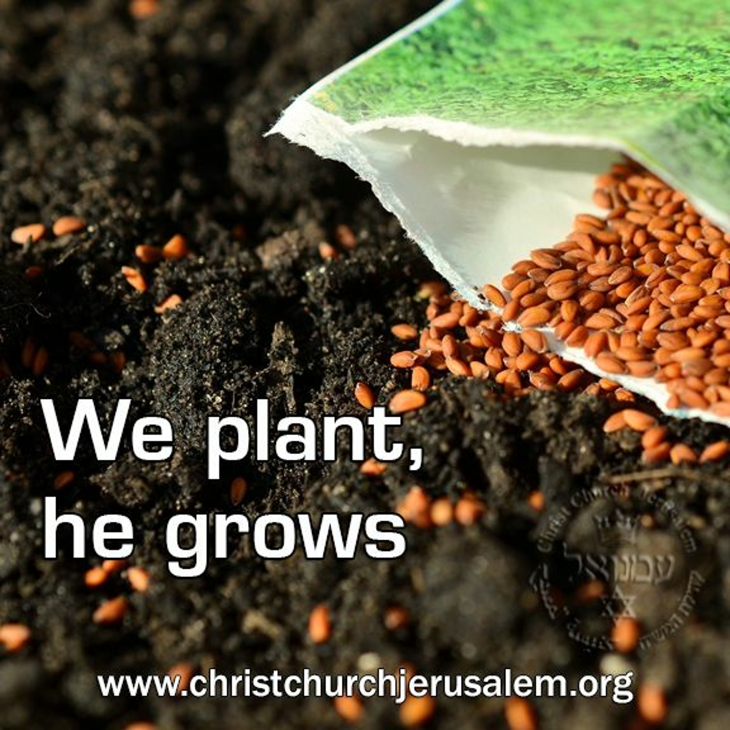 We plant, he grows episode artwork