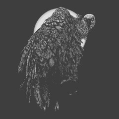 Vulture (FREE DOWNLOAD)