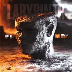 Master Error & Profile - Labyrinth