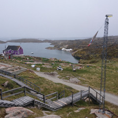 Bruants des neiges et chiens d'Akunnaaq (68.74437°N, 52.33481°W)