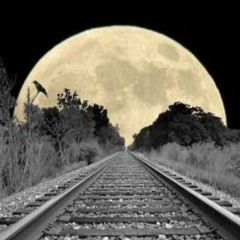 Last Train to the Moon