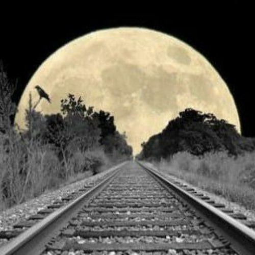 Last Train to the Moon