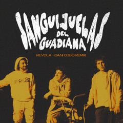 Sanguijuelas del Guadiana - Revolá (Dani Cobo Remix)