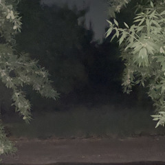 dirt (Ft. Jvzo.vii) (Prod. E9 Beats)